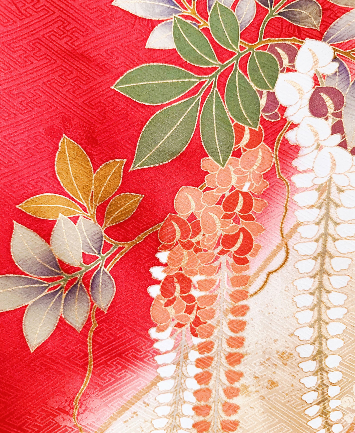 紅緋 赤系 暈し染め 駒刺繍 金彩 藤 蝶 花草 振袖 着物レンタル 成人式振袖