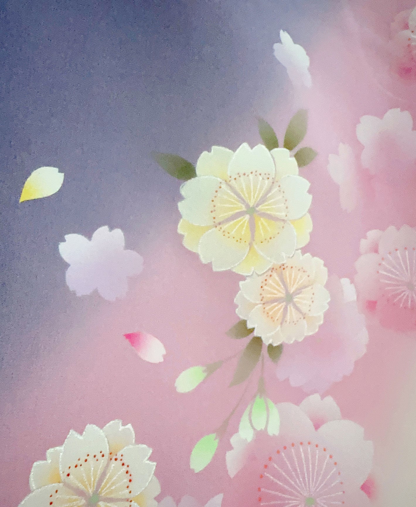 生成り色 白系 暈し染め 手描き 桜吹雪 振袖 着物レンタル